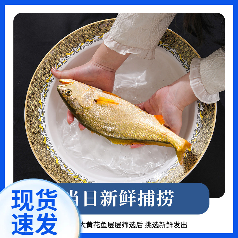 鲜活野生黄花鱼深海大黄鱼小刺身海鲜海鱼黄鱼活体生鲜新鲜礼盒装