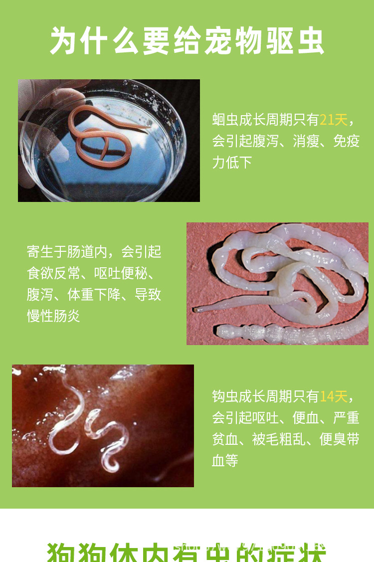 【拜宠清6粒2粒整盒装】德国拜尔耳犬用体内驱虫药狗狗内服打虫片