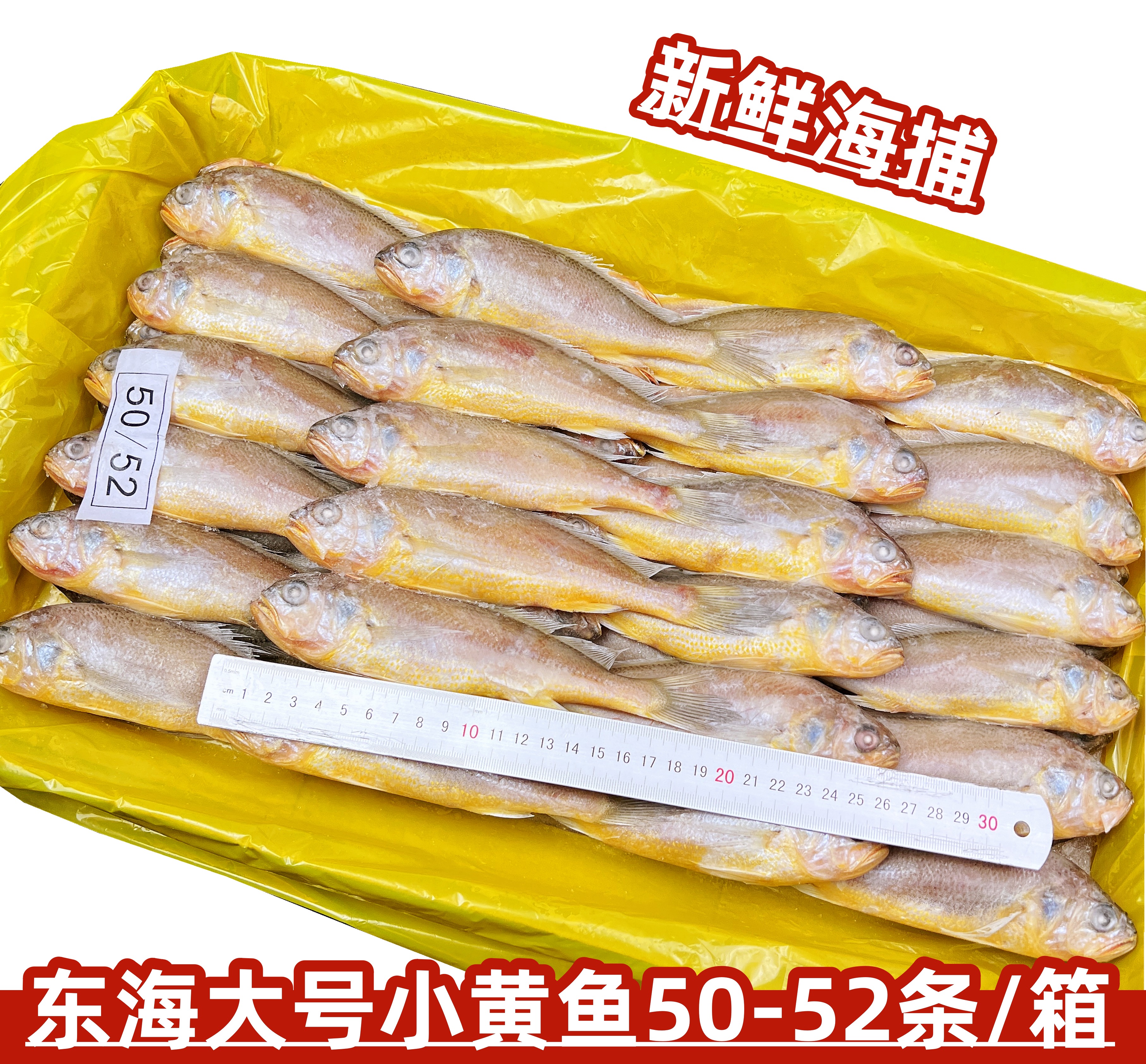 ly东海小黄花鱼新鲜海捕冷冻海捕小黄鱼非大黄鱼深海鱼海鲜水产商