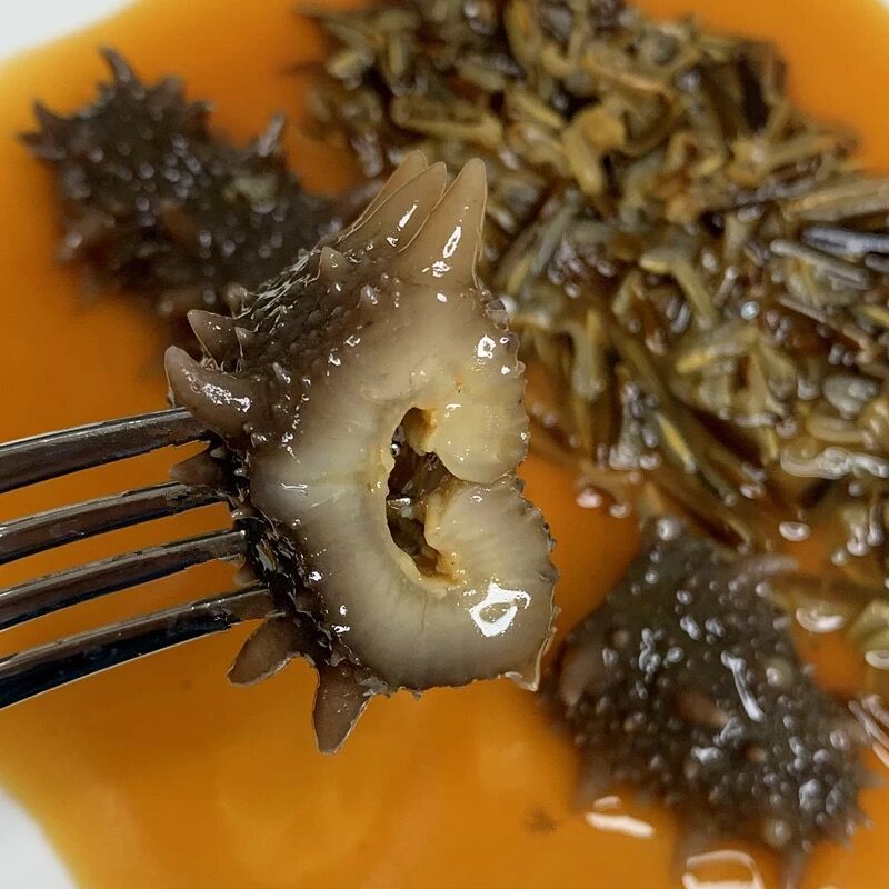 野米扣海参加热即食辽参鲍鱼汁大刺参海参淡干酒店会所批量批发