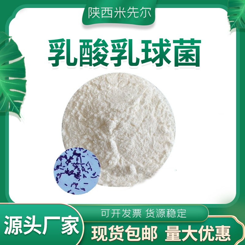 乳酸乳球菌乳脂亚种1000亿冻干益生菌原菌粉粉肠道发酵乳现货
