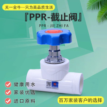 天一 金牛 PPR截止阀 PPR阀门 20 4分 25 6分 32 1寸 ppr水管配件