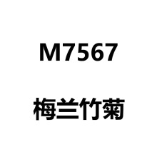 5D钻石画满款客厅竖版玄关贴钻点钻十字绣新款梅兰竹菊钻石绣