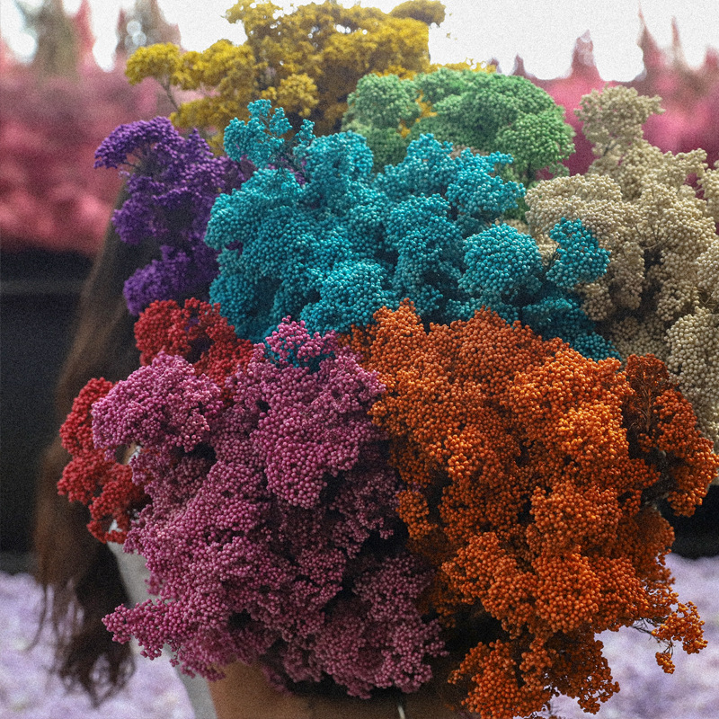 昆明厂家直发小米花干花永生花批发散装称斤花店供货客厅插花摆件