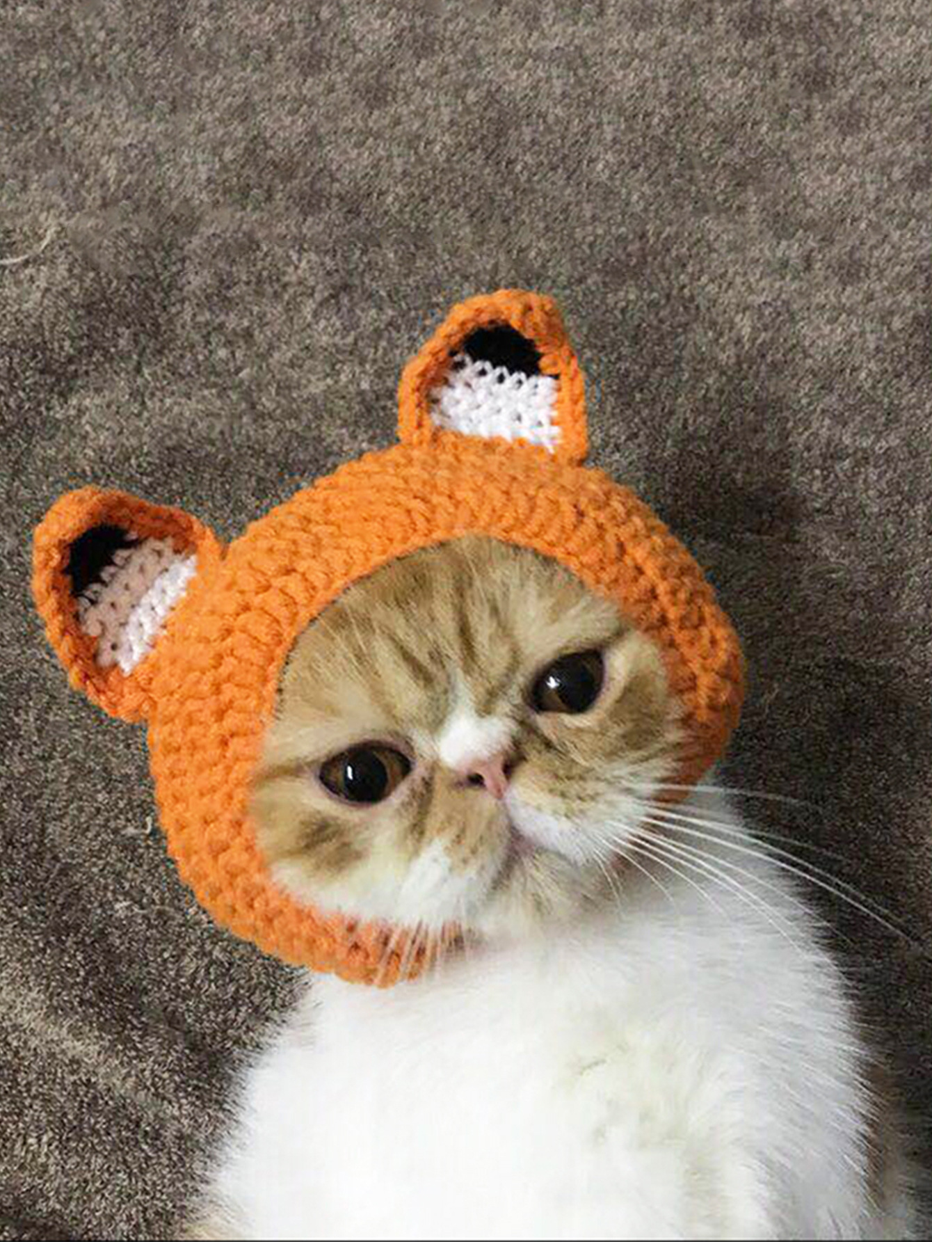 宠物猫咪头套狗狗头套 动物造型 搞怪帽子 狐狸头套