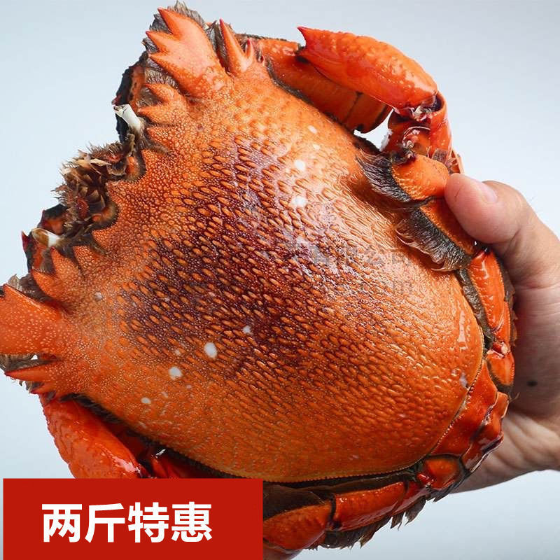 0成交0件炝蟹红膏海蟹二母蟹梭子蟹老蟹大公蟹大白蟹海蟹飞蟹花脐蟹