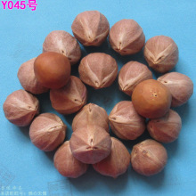 橄榄核雕刻黄财神q版可爱小众冷门文玩单粒包邮红油核卡通黄财神