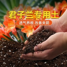 君子兰土兰花通用型营养土盆栽花卉种植土壤养花泥土肥料