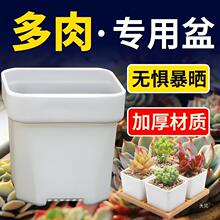 热卖八角加厚小白方多肉花盆特厚塑料方形植物叶插育苗盆大黑方盆