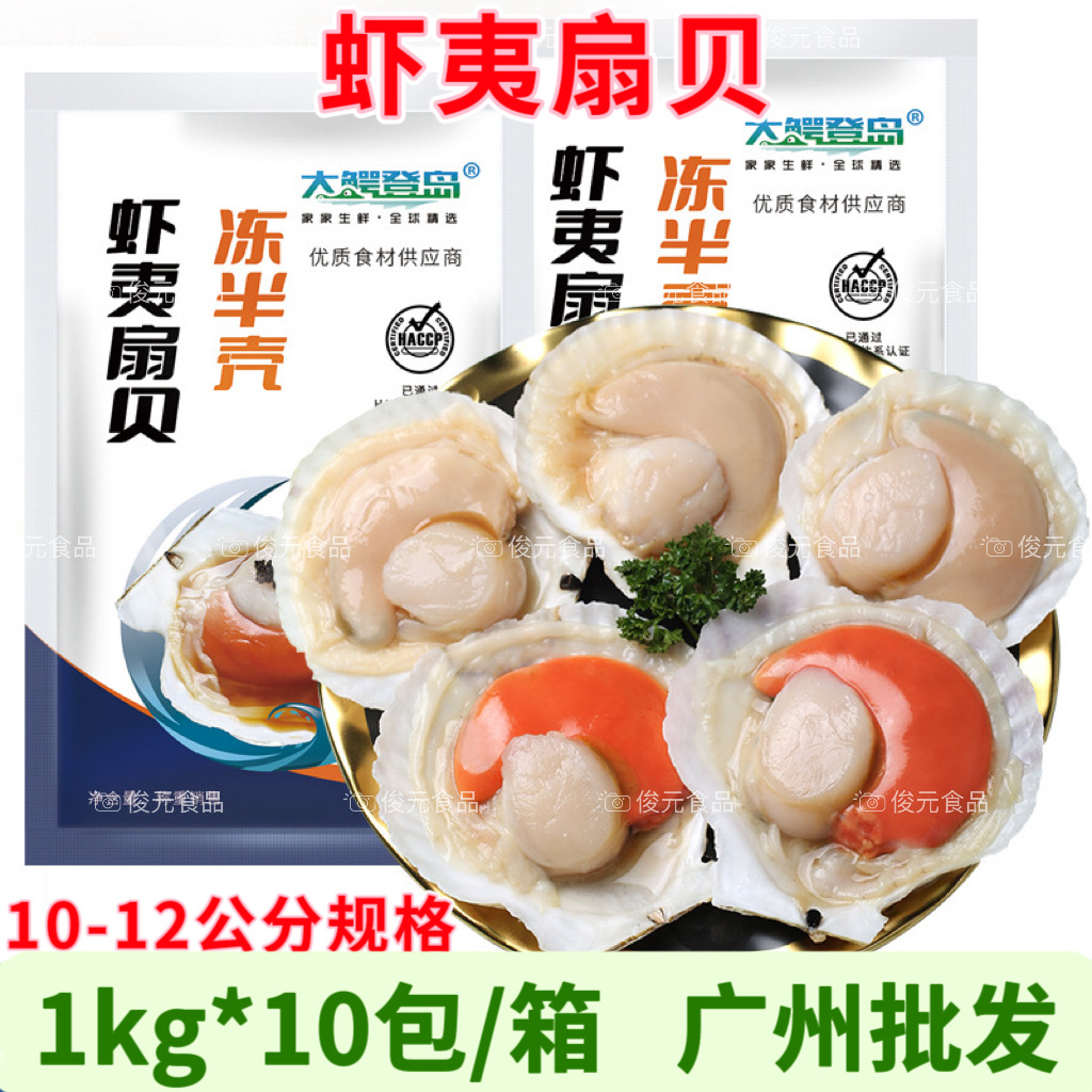 虾夷扇贝 优质半壳大扇贝 带壳扇贝商用蒜蓉粉丝贝日料烧烤食材
