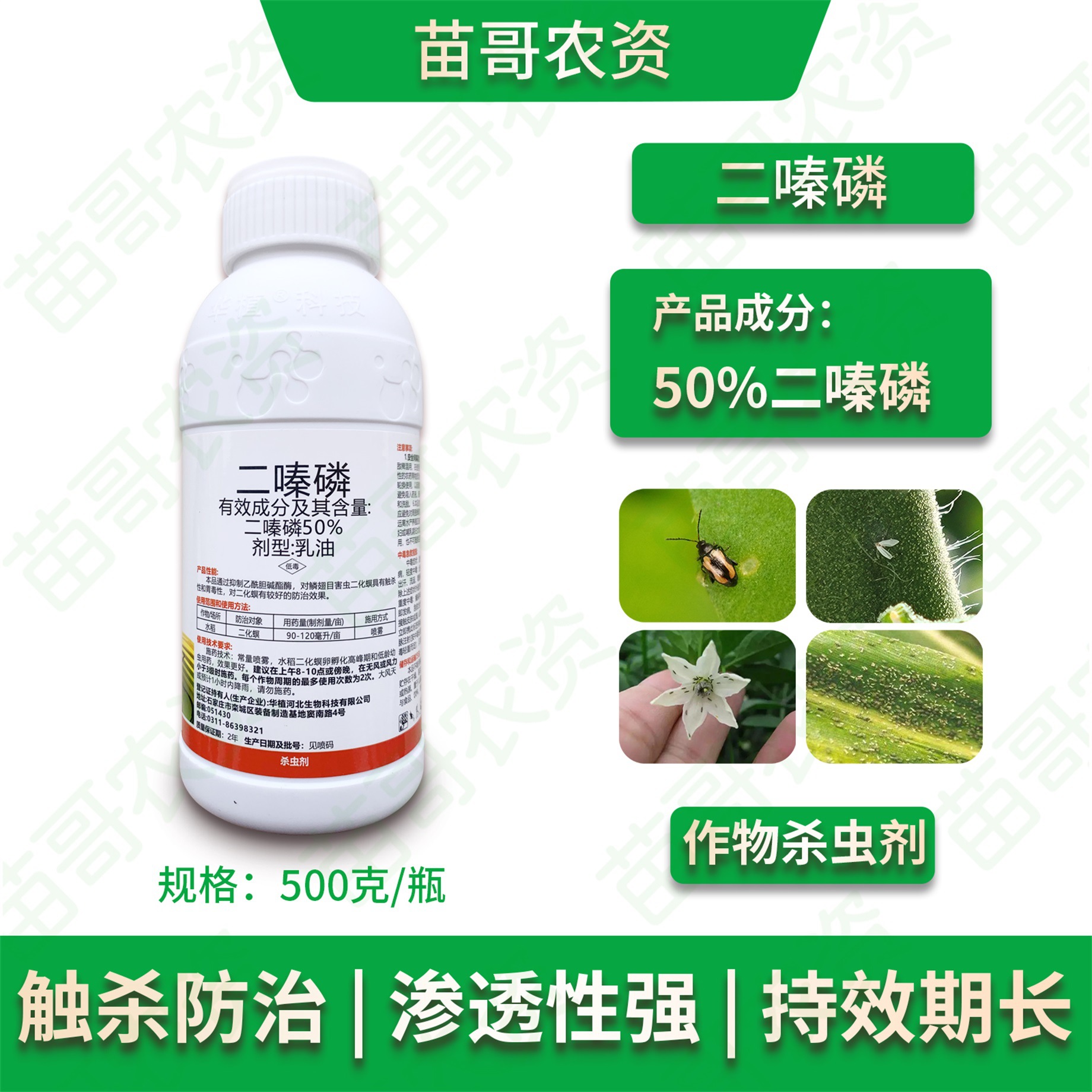50%二嗪磷青菜蛾蚜虫蓟马飞虱地老虎地蛆蚧壳虫食心卷叶虫杀虫药