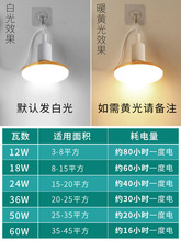 家用LED插座灯泡带线插头开关超亮简易插电灯直插悬挂式节能吊灯