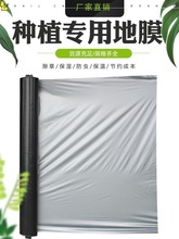 农用种植银黑地膜反光双色塑料薄膜果树果园保温保湿增温加厚除草