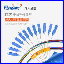 FiberHome 烽火通信 电信级12芯束状尾纤单模LC/SC/FC/ST光纤跳线
