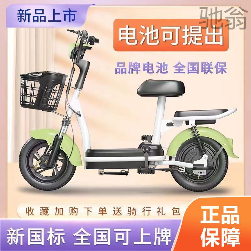 dyw国标电动车成人两轮电动自行车锂电池小型电瓶车双人助力代步