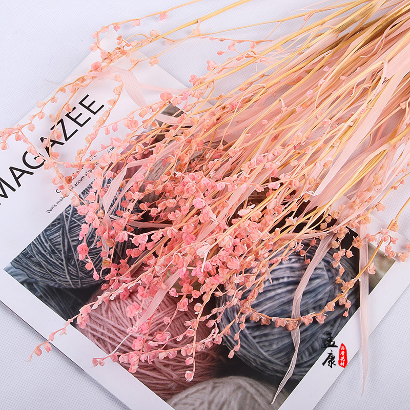 永生火焰兰干花酒店民宿田园装饰插花束橱窗摆件花店道具客厅装饰