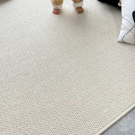 仿剑麻米白地毯阳台地垫拍照直播间网红客厅卧室家用满铺床边批发
