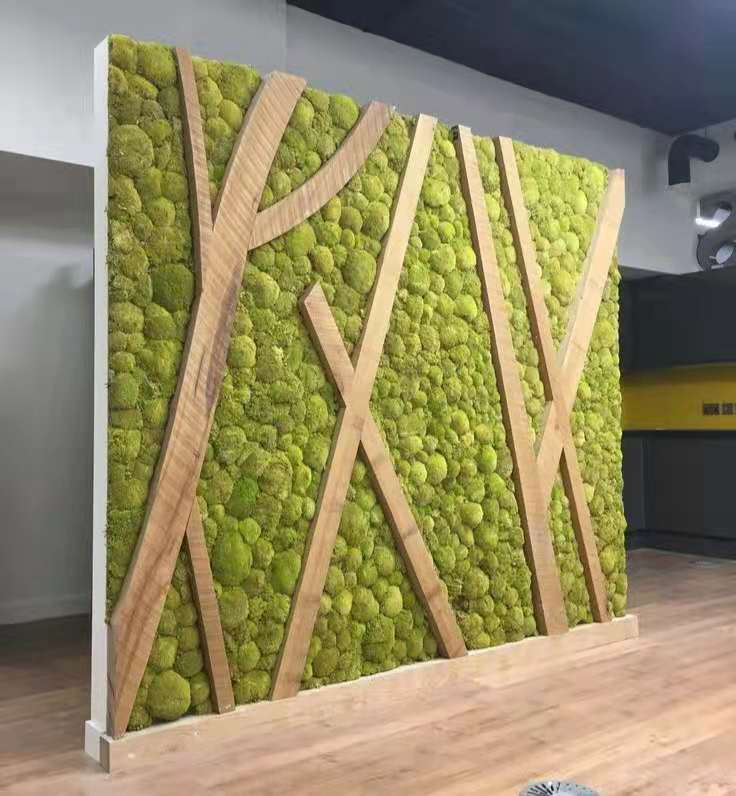 永生苔藓墙块状苔藓白发藓大灰藓苔藓画植物墙绿苔永生花绿墙