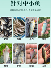 日本溪流微物马口白条台钓竿罗非奶鲫鳑鲏溪哥垂钓迷你小物钓