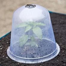 植物恒温育苗保温罩 塑料透气种植保护罩 保湿保温育苗养护工具