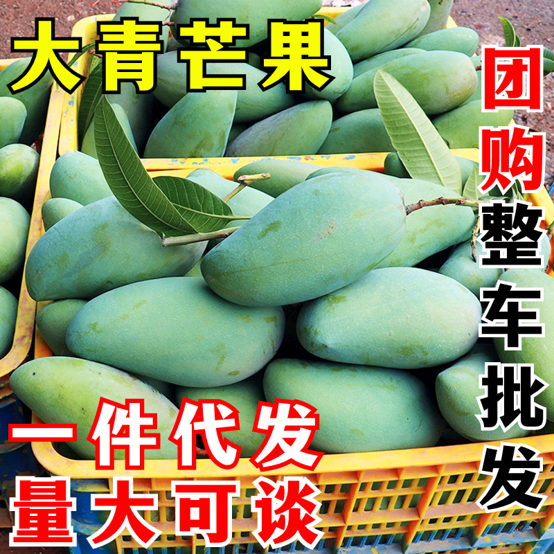 大青芒果 一件代发 青皮大金煌芒凯特大脸芒非甜心水仙芒新鲜水果