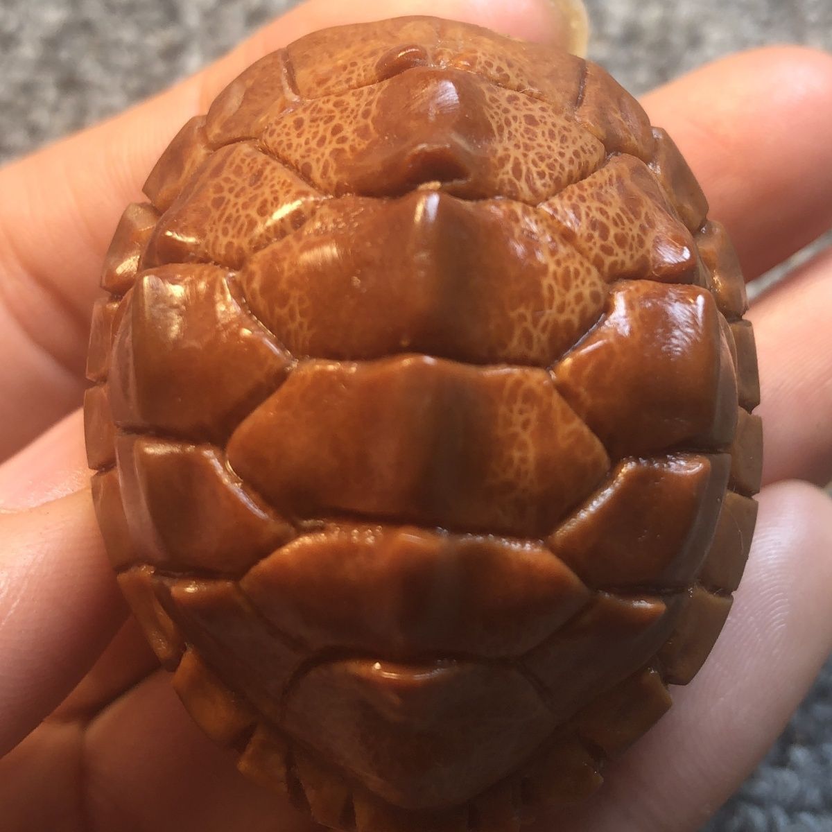 巴西大橄榄核 手把件吊坠 龟壳 富甲天下 富甲一方大尺寸-阿里巴巴