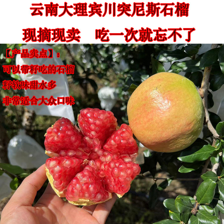 云南大理宾川突尼斯软籽石榴 当季水果 中秋礼品盒现摘现卖-阿里巴巴