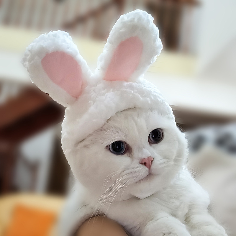 Cross-Border Cat Bunny Headgear Puppy Bichon Transformation Headdress Garfield Rabbit Ears Internet Hot Pet Hat