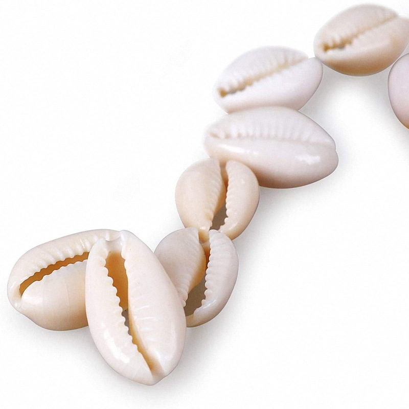 8cm 100个/包产地金华货号bs-001处理工艺天然材质贝壳种类贝壳商品