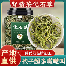 肾精草东北长白山野生天然正品中药材原料化石草肾经茶500g黄金草