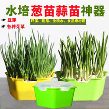 芽苗菜育苗盘蔬菜豆苗蒜苗盆栽无土栽培纸上种菜神器小麦草种植盘