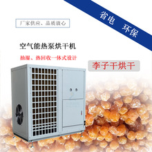 空气能李子干烘干机 情人梅烘干箱 热泵果子果肉烘干设备生产厂家