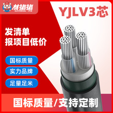 YJLV电缆 铝芯电缆2/3/4芯电缆线 国标质量低压阻燃电力电缆批发