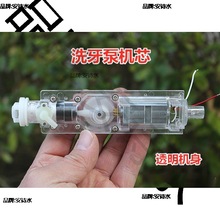 洗牙泵机芯 直流高压水泵 透明喷射泵 活塞泵DC3.7V 8W