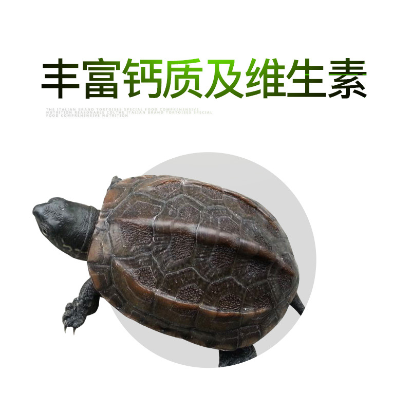 Chinese Grass Tortoise Special Turtle Food Turtle Forage Plants Semi-Water Turtle Ink Turtle General Food Small Turtle Floating Particles