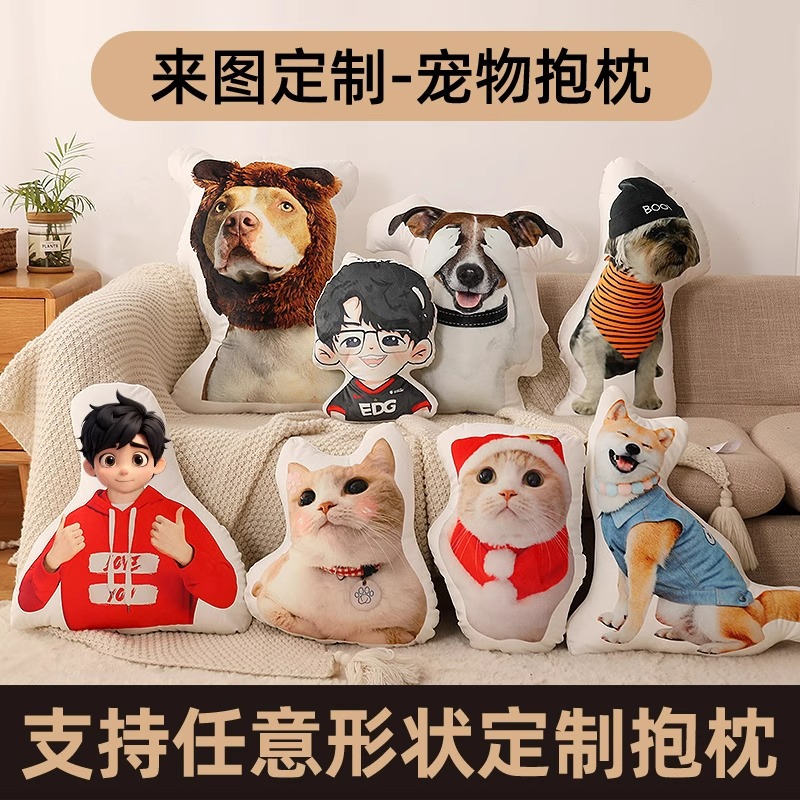 异形抱枕定制不规则抱枕被来图来样宠物卡通可爱动漫照片抱枕定做