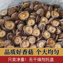 新货无根香菇饭店餐饮黄焖鸡香菇干货5斤装剪脚冬菇食堂商用散装