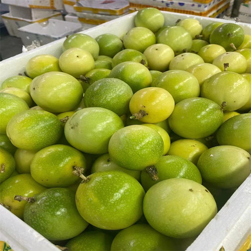 海南钦蜜百香果中果-阿里巴巴