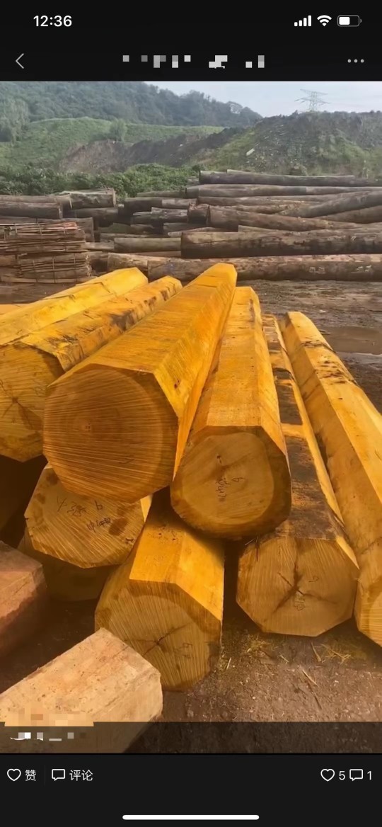 现货供应 黄硬木原木黄乳木 黄檀巴蒂硬乳木黄胆木 加工定制板材