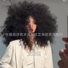 爆炸头假发黑人烫自然蓬松卷发Afro Curly Wig 非洲小卷假发套