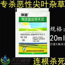坤盖高效氟吡甲禾灵氯呲大豆蔬菜西瓜田芦苇牛筋草马唐高盖除草剂