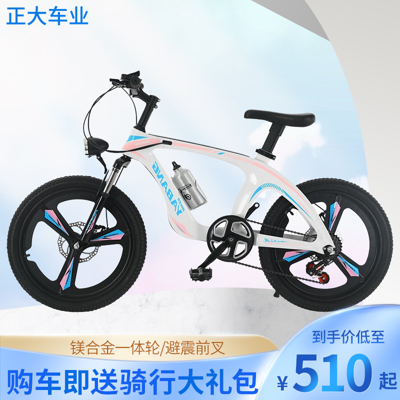 bicycle magnesium alloy mountain bike 2022-inch thickened plus-sized seat double disc brake shock-absorbing children‘s mountain bike