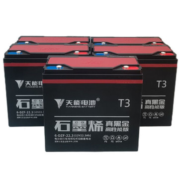 黑金t3电池电动车 石墨烯电池6-dzf-22.3 72v22(6只装)天能蓄电池