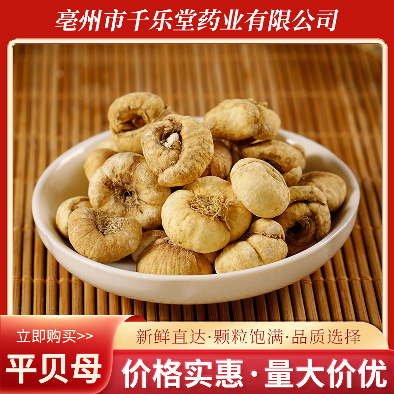 批发大货东北平贝母 贝母散装零售 平贝母 浙贝藏贝 新贝质量保证