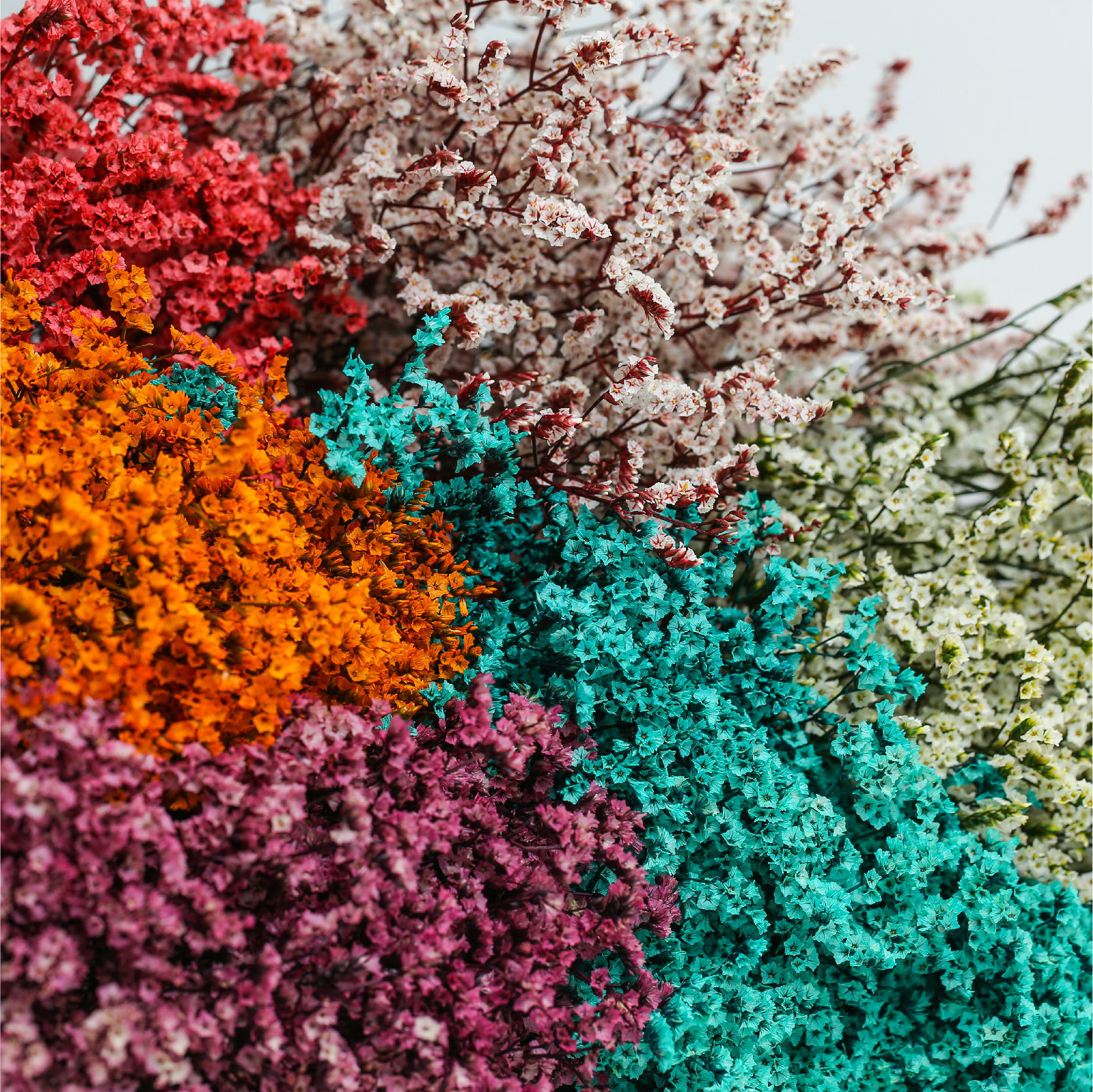 【云南基地批发】 永生水晶花 水晶草 不发霉  七夕花束 花材