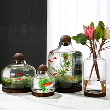 创意圆形玻璃小鱼缸日式生态瓶桌面微景观生日礼物DIY作业免换水
