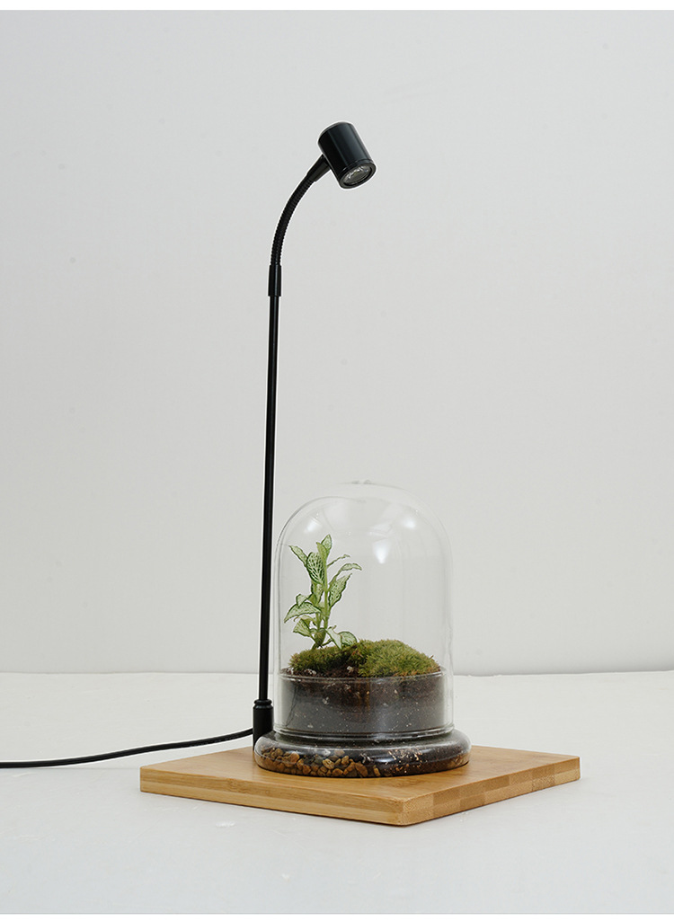 工厂直供竹板灯微景观植物灯观赏鱼缸射灯玻璃瓶苔藓生长补光灯