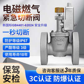 燃气电磁阀紧急切断阀天然气煤气泄露工业管道专用自动切断阀门