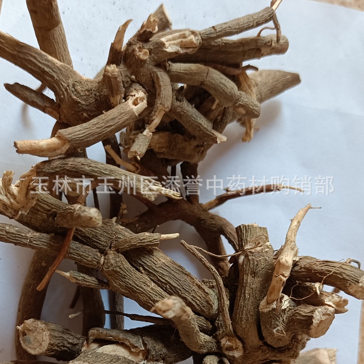 中药材小罗伞 朱砂根 铁凉伞 八爪金龙晒干切段 广西农产品500克