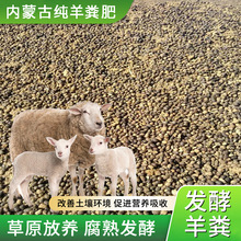 内蒙古纯羊粪肥 有机干羊粪原料 袋装粉碎农家发酵纯羊粪批发厂家